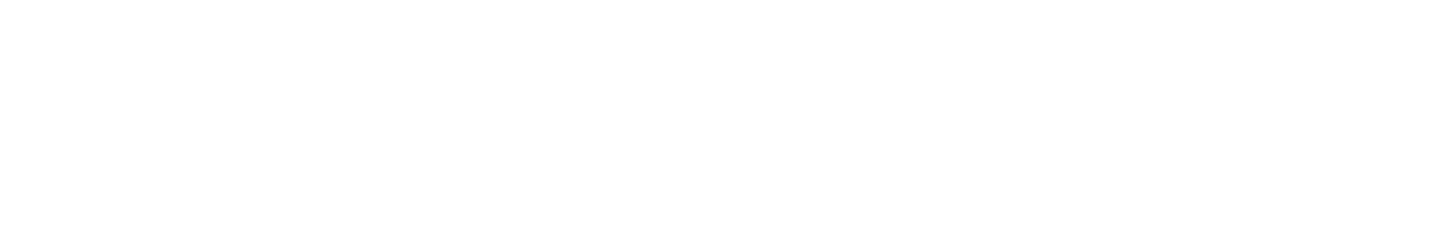 Dr O'Reilly and Partners INC